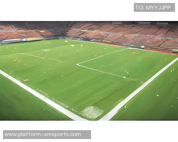 足球放在哪里更合适探讨场地选择与运动效果的关系